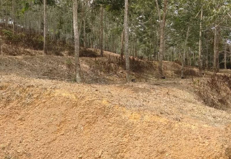 TANAH KEBUN GETAH SEMPADAN BENTONG - N9