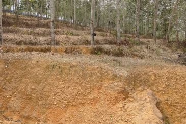 TANAH KEBUN GETAH SEMPADAN BENTONG - N9