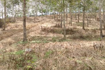 TANAH KEBUN GETAH SEMPADAN BENTONG - N9