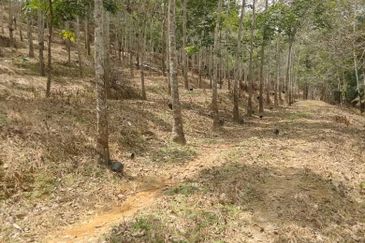 TANAH KEBUN GETAH SEMPADAN BENTONG - N9