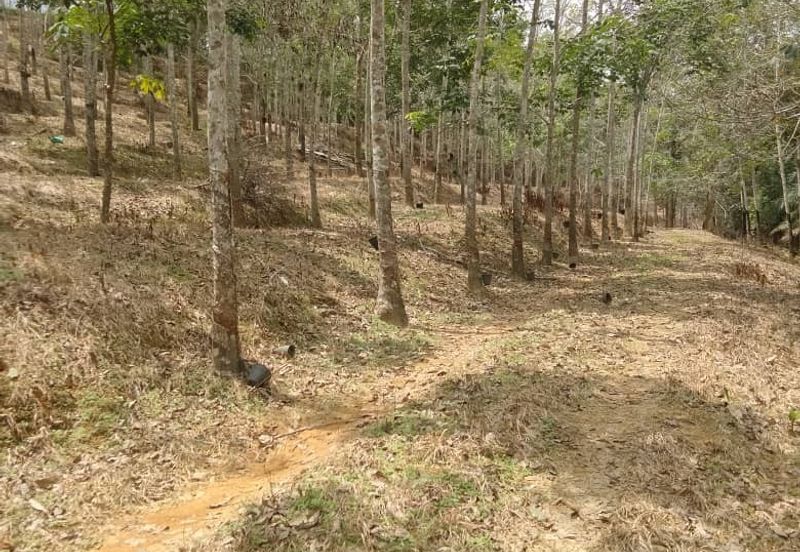 TANAH KEBUN GETAH SEMPADAN BENTONG - N9