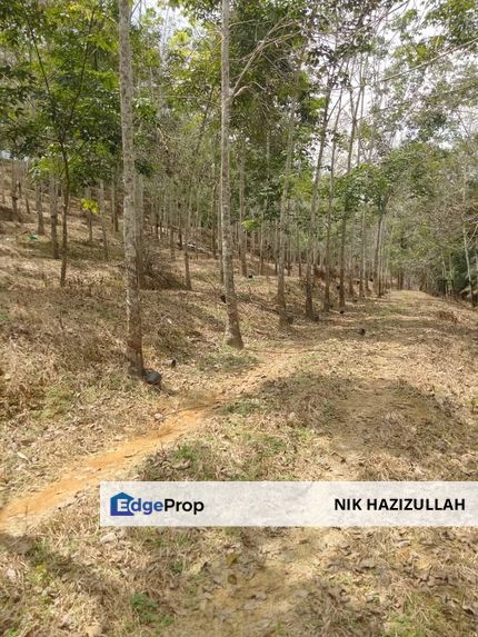 TANAH KEBUN GETAH SEMPADAN BENTONG - N9, Pahang, Bentong