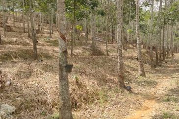 TANAH KEBUN GETAH SEMPADAN BENTONG - N9