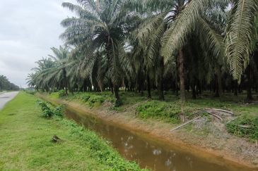 2Lot Tanah Untuk Dimajukan Zoning Perumahan