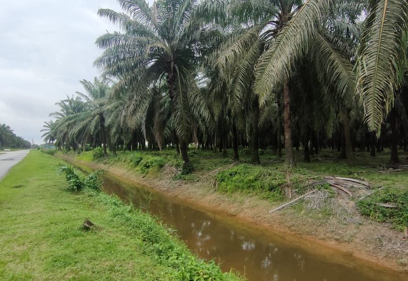 2Lot Tanah Untuk Dimajukan Zoning Perumahan