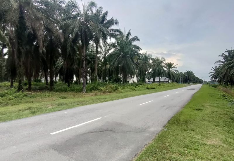 2Lot Tanah Untuk Dimajukan Zoning Perumahan