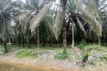 2Lot Tanah Untuk Dimajukan Zoning Perumahan