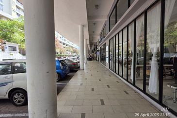 Platinum Mondrian (Pv128)