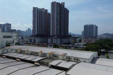 Platinum Mondrian (Pv128)