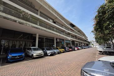 Platinum Mondrian (Pv128)