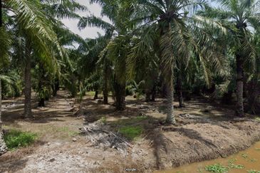 Sekinchan Business Centre