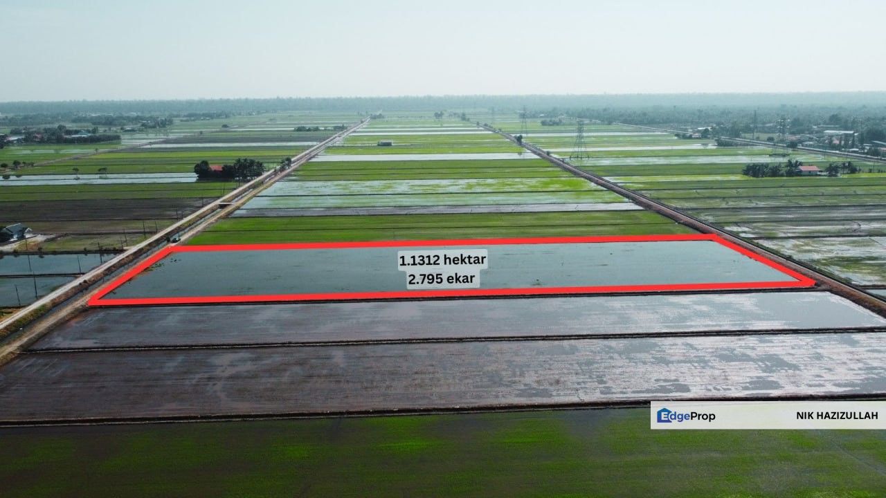 Petak Sawah @ Tanjung Karang , Selangor, Kuala Selangor