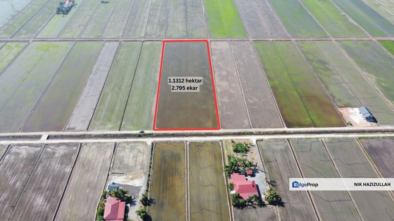 Petak Sawah @ Tanjung Karang , Selangor, Kuala Selangor