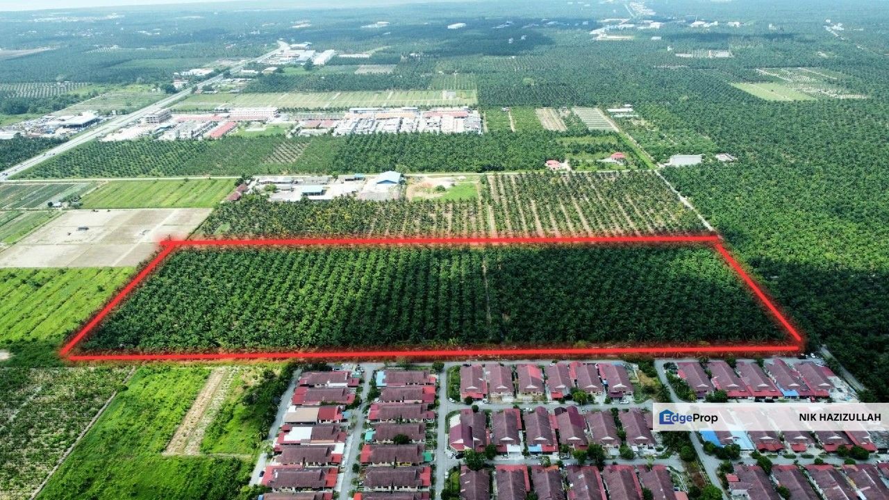 Land for Development [26.5ac] Freehold , Selangor, Sabak Bernam