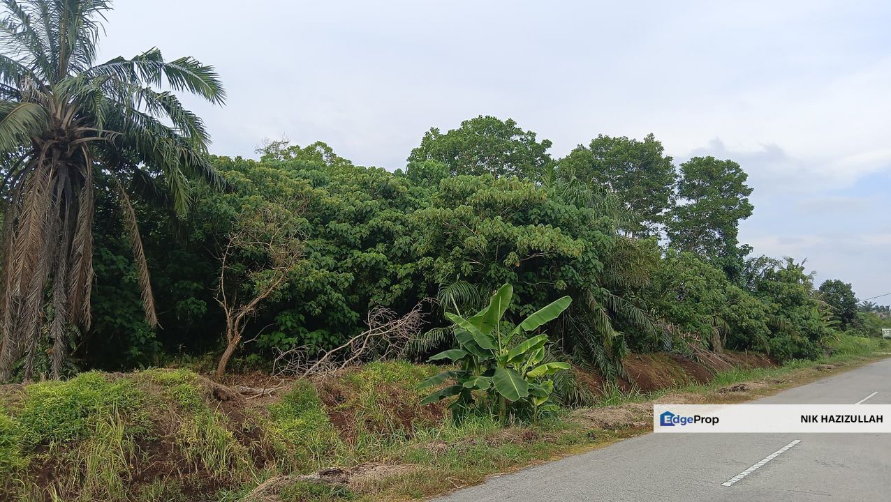 Tanah Pertanian Sungai Besar Sabak Bernam, Selangor, Sabak Bernam