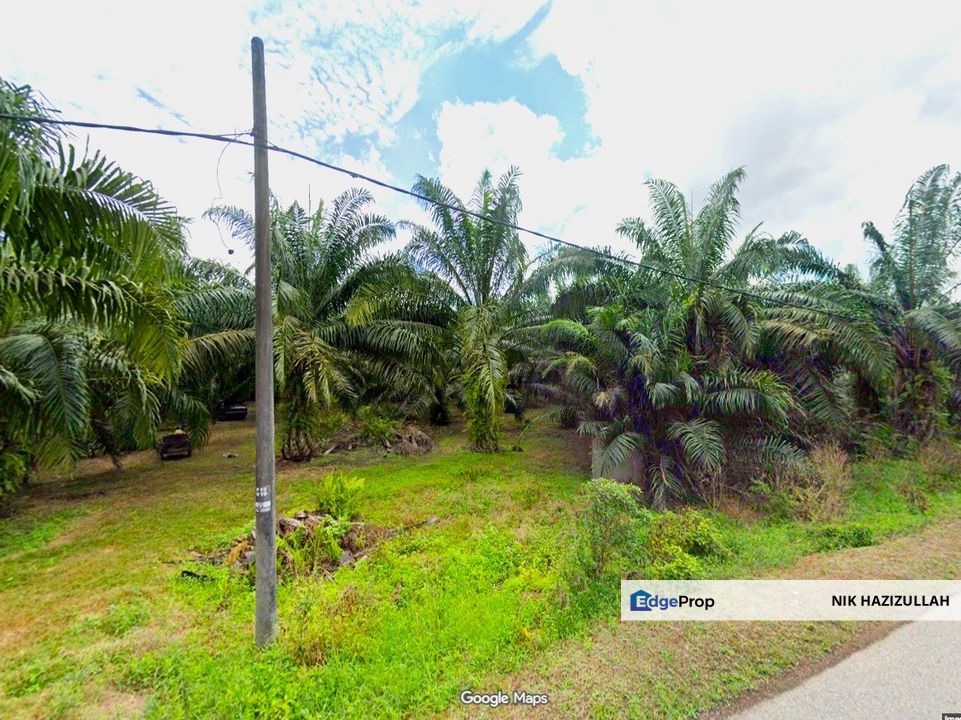 Tanah Sawit [2tan sebulan] @ Parit 13 Sg Panjang, Selangor, Sabak Bernam