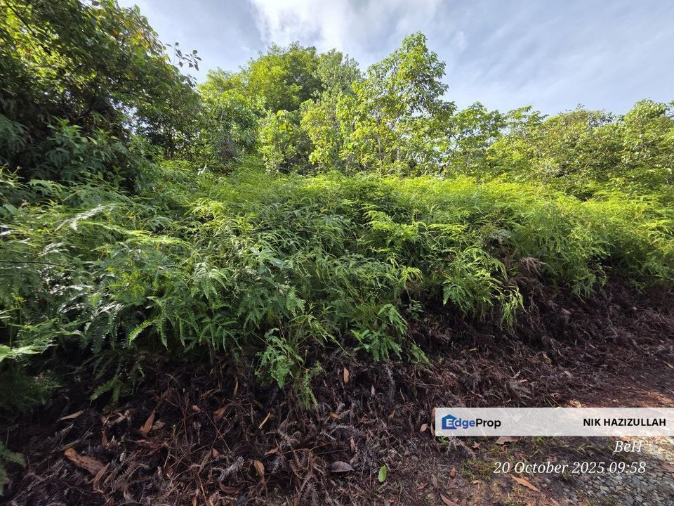 Tanah Lot Bungalow, Kelantan, Gua Musang