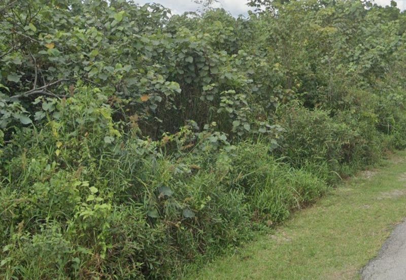 Tanah Industrial 2km Dari Bandar Kemaman 