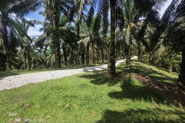 Tanah Sawit 4.09ac Puncak Bukit Near Main Road