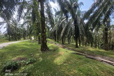 Tanah Sawit 4.09ac Puncak Bukit Near Main Road