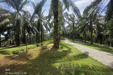 Tanah Sawit 4.09ac Puncak Bukit Near Main Road