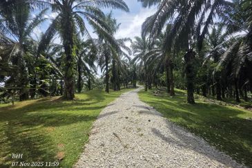 Tanah Sawit 4.09ac Puncak Bukit Near Main Road