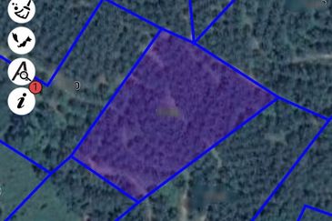 Tanah Sawit 4.09ac Puncak Bukit Near Main Road