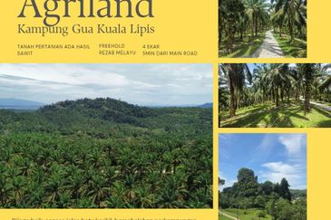 Tanah Sawit 4.09ac Puncak Bukit Near Main Road