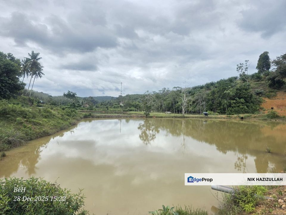 Tanah + Kolam Infra Lengkap, Pahang, 