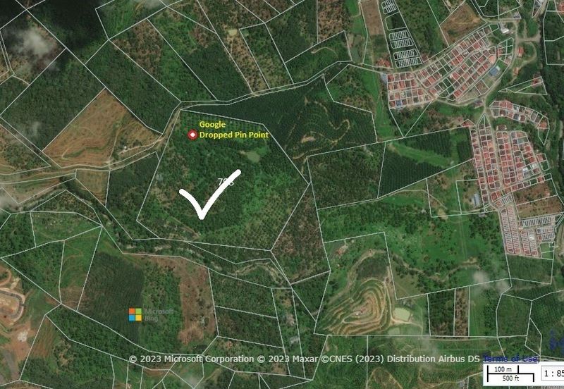 Durian Plantation @ Raub District Of Musang King