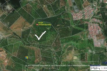 Durian Plantation @ Raub District Of Musang King