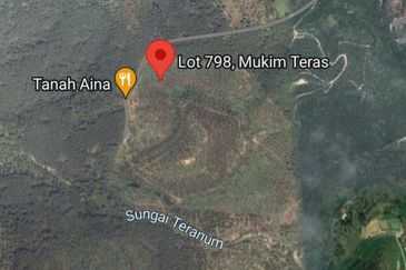 Durian Plantation @ Raub District Of Musang King