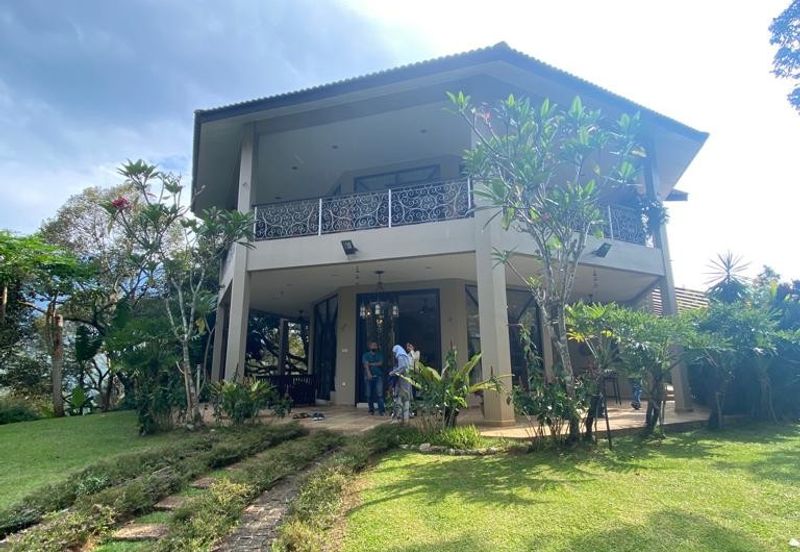 Durian Plantation @ Raub District Of Musang King