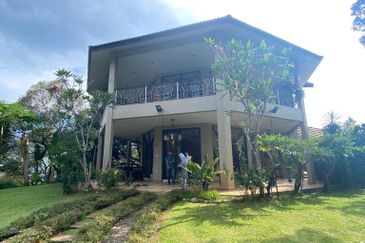 Durian Plantation @ Raub District Of Musang King