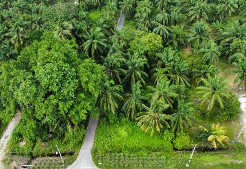 Lot Bungalow Geran Individu INFRA Tersedia