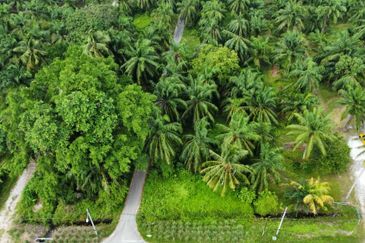 Lot Bungalow Geran Individu INFRA Tersedia