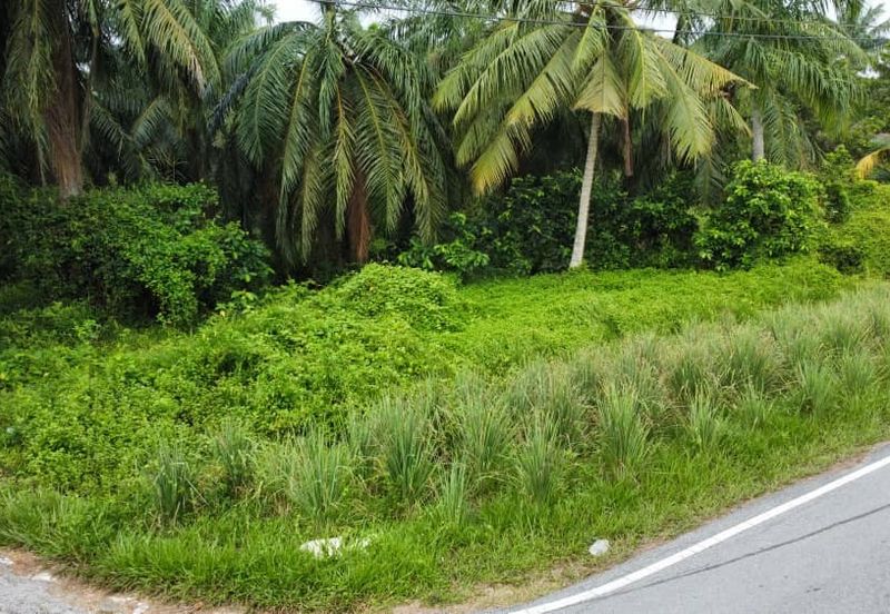 Lot Bungalow Geran Individu INFRA Tersedia