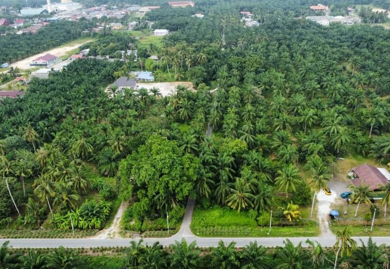 Lot Bungalow Geran Individu INFRA Tersedia