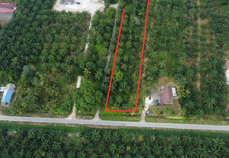 Lot Bungalow Geran Individu INFRA Tersedia