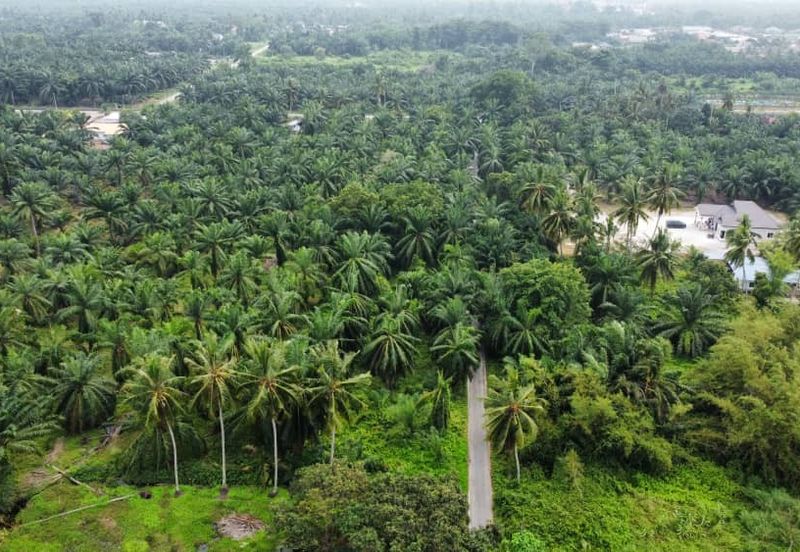 Lot Bungalow Geran Individu INFRA Tersedia