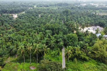 Lot Bungalow Geran Individu INFRA Tersedia