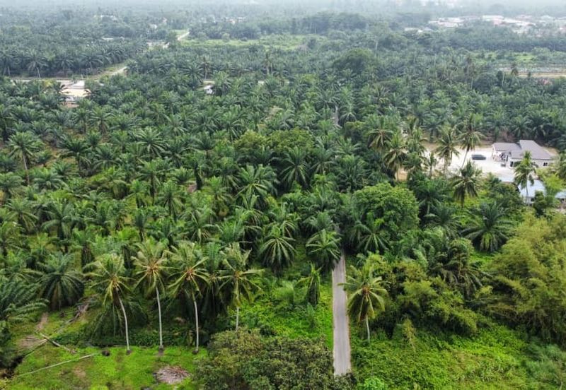 Lot Bungalow Geran Individu INFRA Tersedia