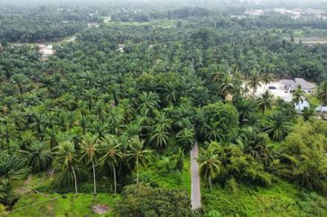 Lot Bungalow Geran Individu INFRA Tersedia