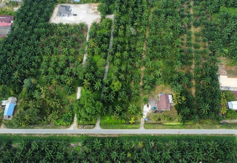 Lot Bungalow Geran Individu INFRA Tersedia