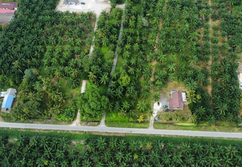 Lot Bungalow Geran Individu INFRA Tersedia