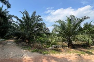 Kampung Sri Cheeding