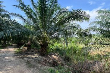 Kampung Sri Cheeding