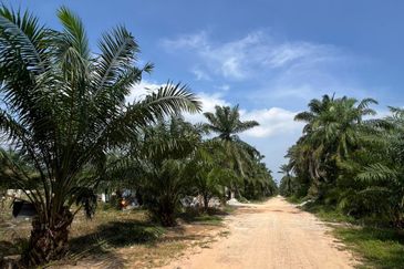 Kampung Sri Cheeding