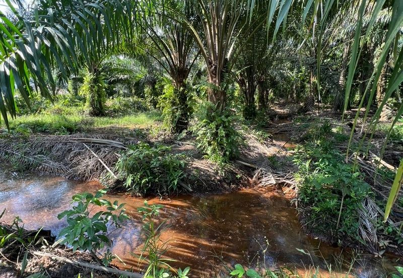 Kampung Sri Cheeding