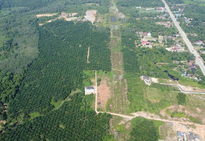 Mentakab Agricultural Land